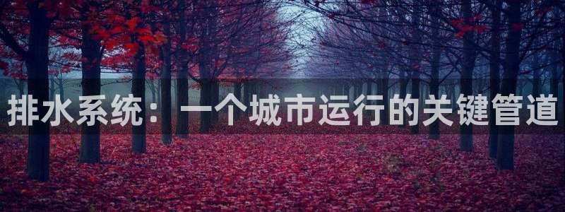 天辰娱乐在线登录注册