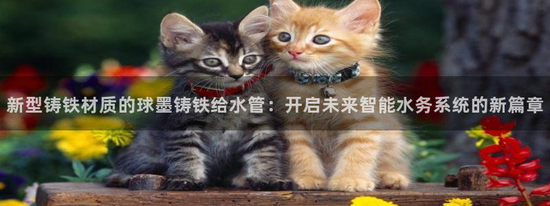 天辰娱乐线路