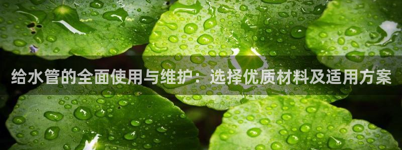 天辰娱乐论坛