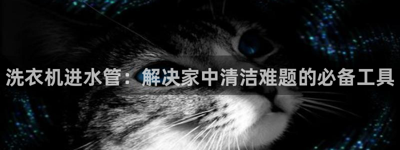 天辰娱乐官网平台下载