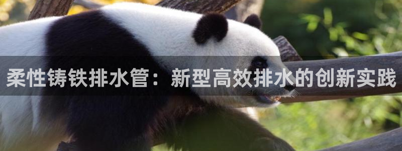 天辰娱乐鱼刺