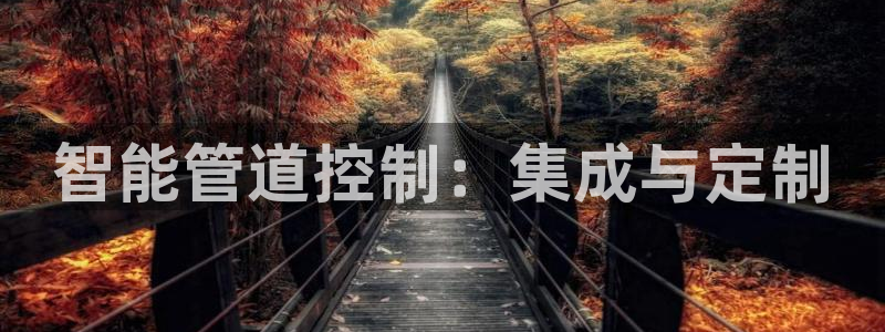 手机上怎么下载天辰娱乐