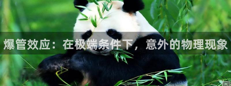 手机上怎么下载天辰娱乐