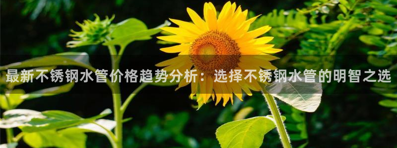 天辰娱乐总管年薪