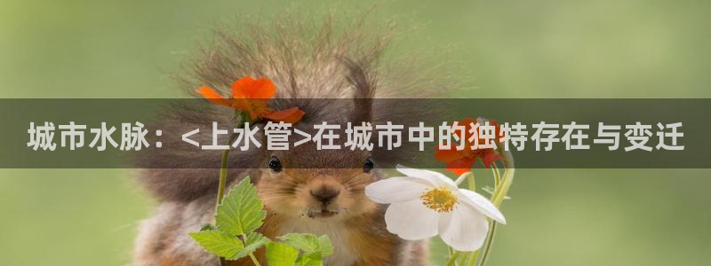 常州天辰娱乐