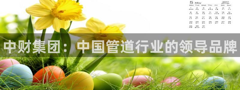 天富天辰娱乐