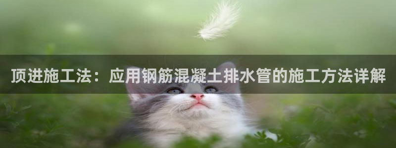 天辰娱乐十分彩