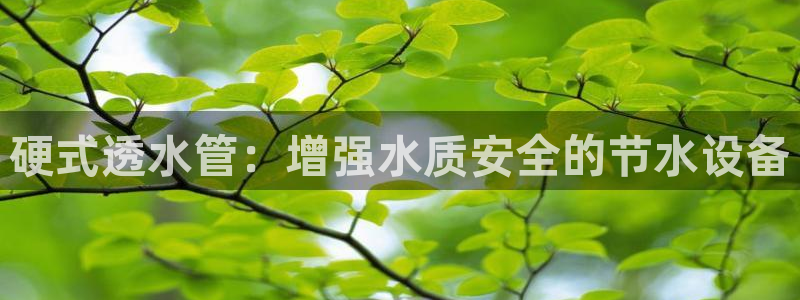 天辰娱乐官方网