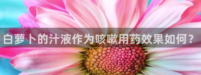 天辰团队贝高娱乐
