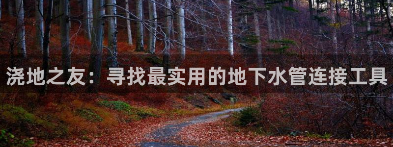 天辰天辰娱乐