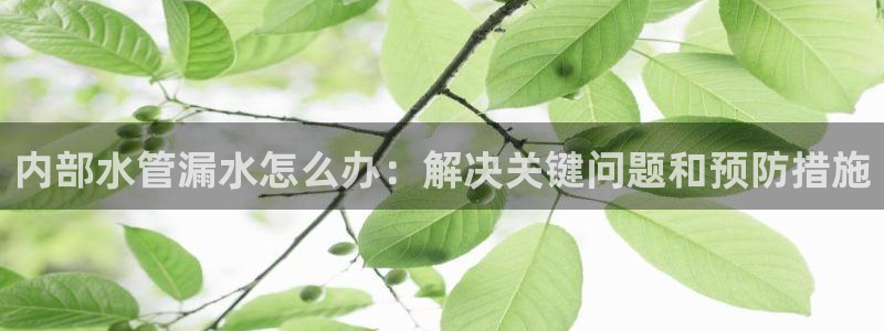 天辰娱乐小姐