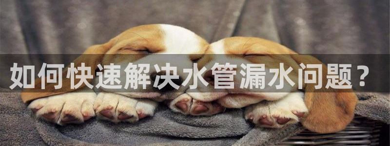 天辰娱乐平台娱乐注册