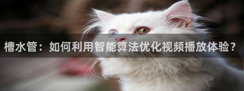 天辰平台娱乐