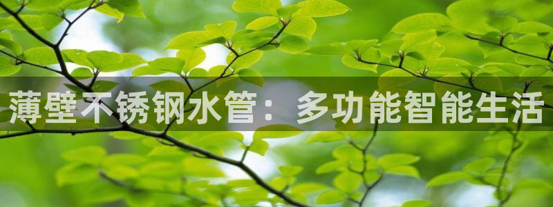 天辰娱乐首选