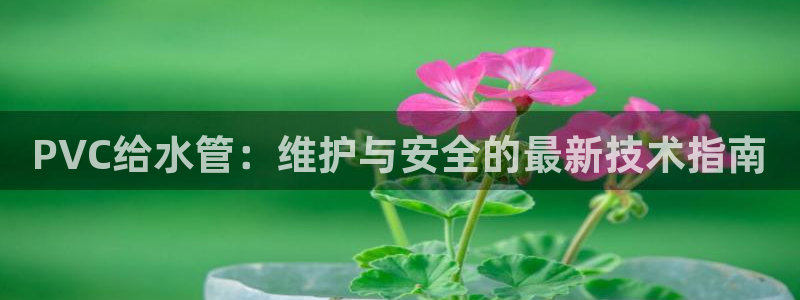 北京天辰娱乐