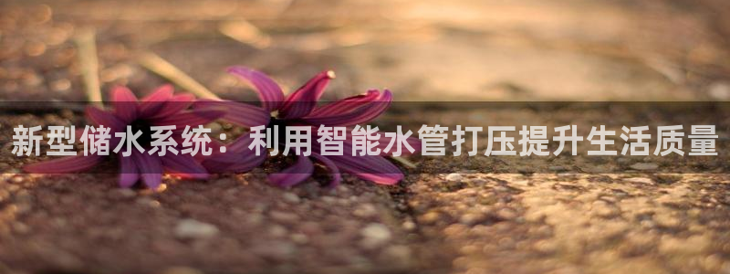 辰天娱乐用品