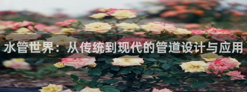天辰娱乐会员
