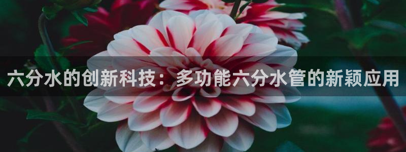 天辰娱乐传媒