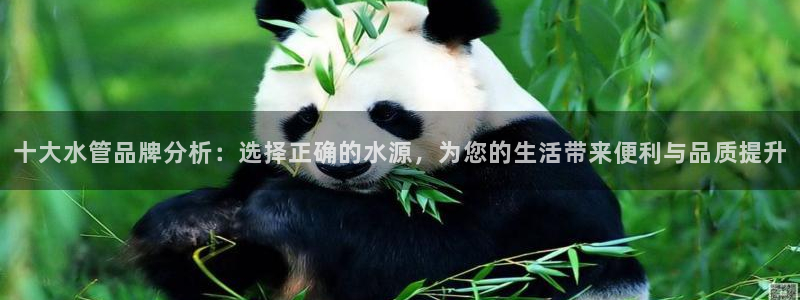 天辰娱乐网址娱乐游戏
