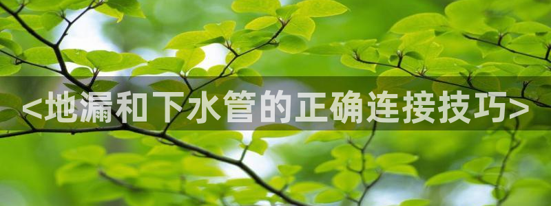 天辰娱乐39974神