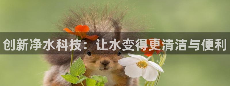 天辰娱乐平台测速