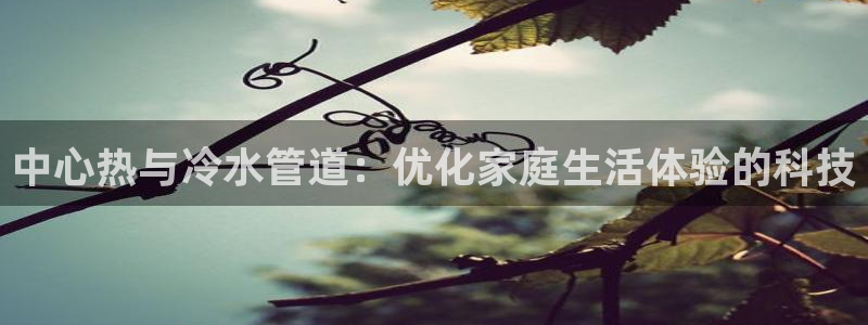 广东天辰娱乐