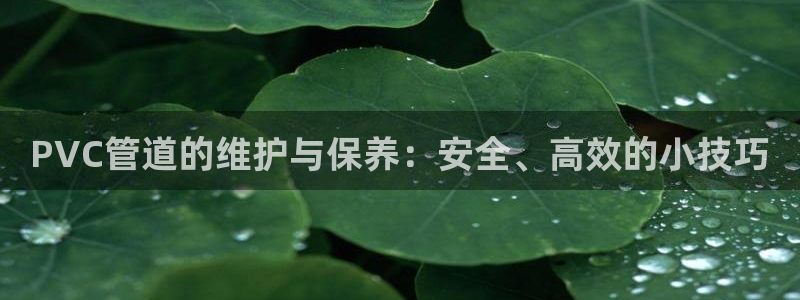 天辰娱乐网