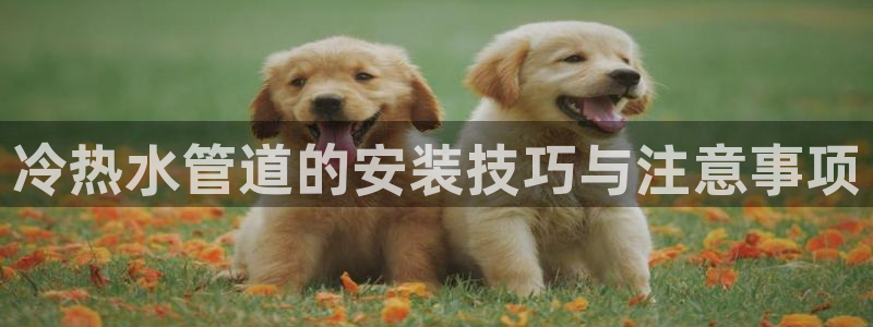天辰娱乐平台