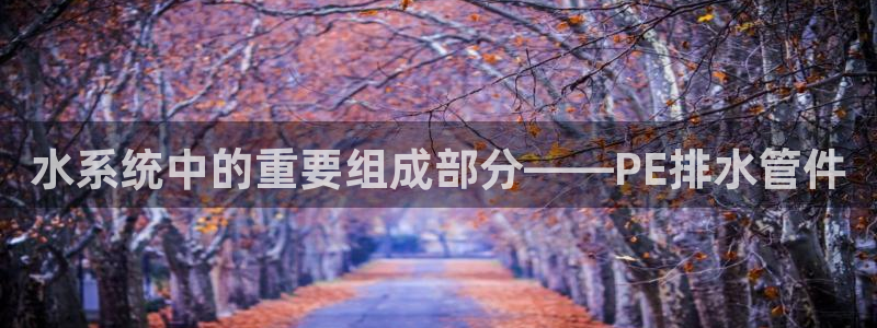 天辰娱乐酒店