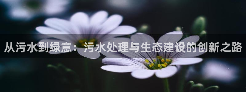 天辰娱乐在线