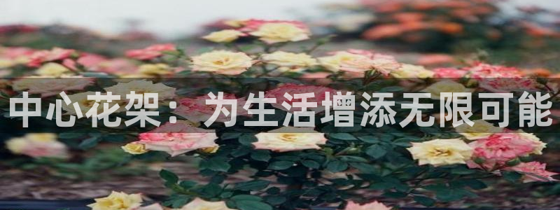天辰娱乐所