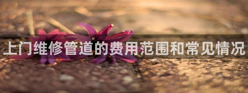 天辰娱乐集团