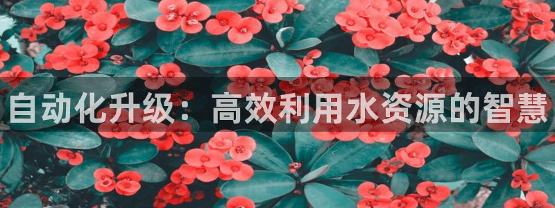深圳天辰娱乐