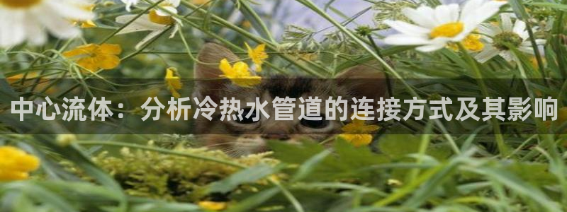 天辰娱乐22650