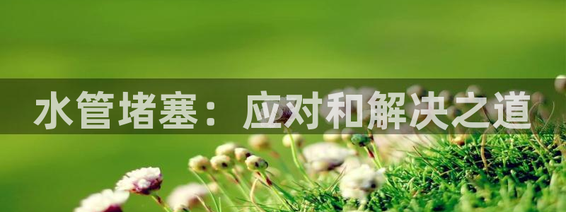 天辰娱乐输了
