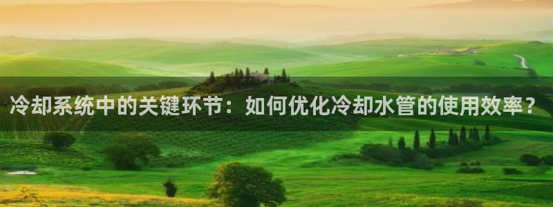 天辰娱乐官方网