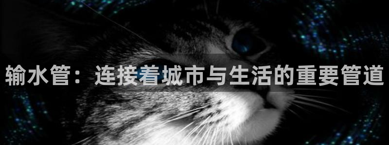 天辰娱乐总管年薪