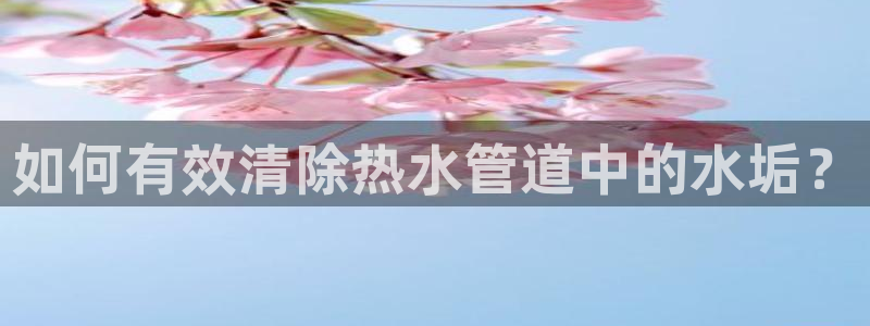 天辰娱乐总管年薪