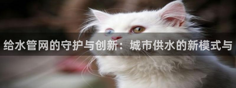 天辰娱乐跑的快