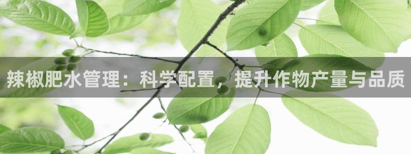 天辰平台娱乐