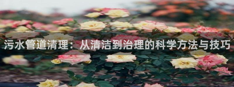 天辰娱乐黑人